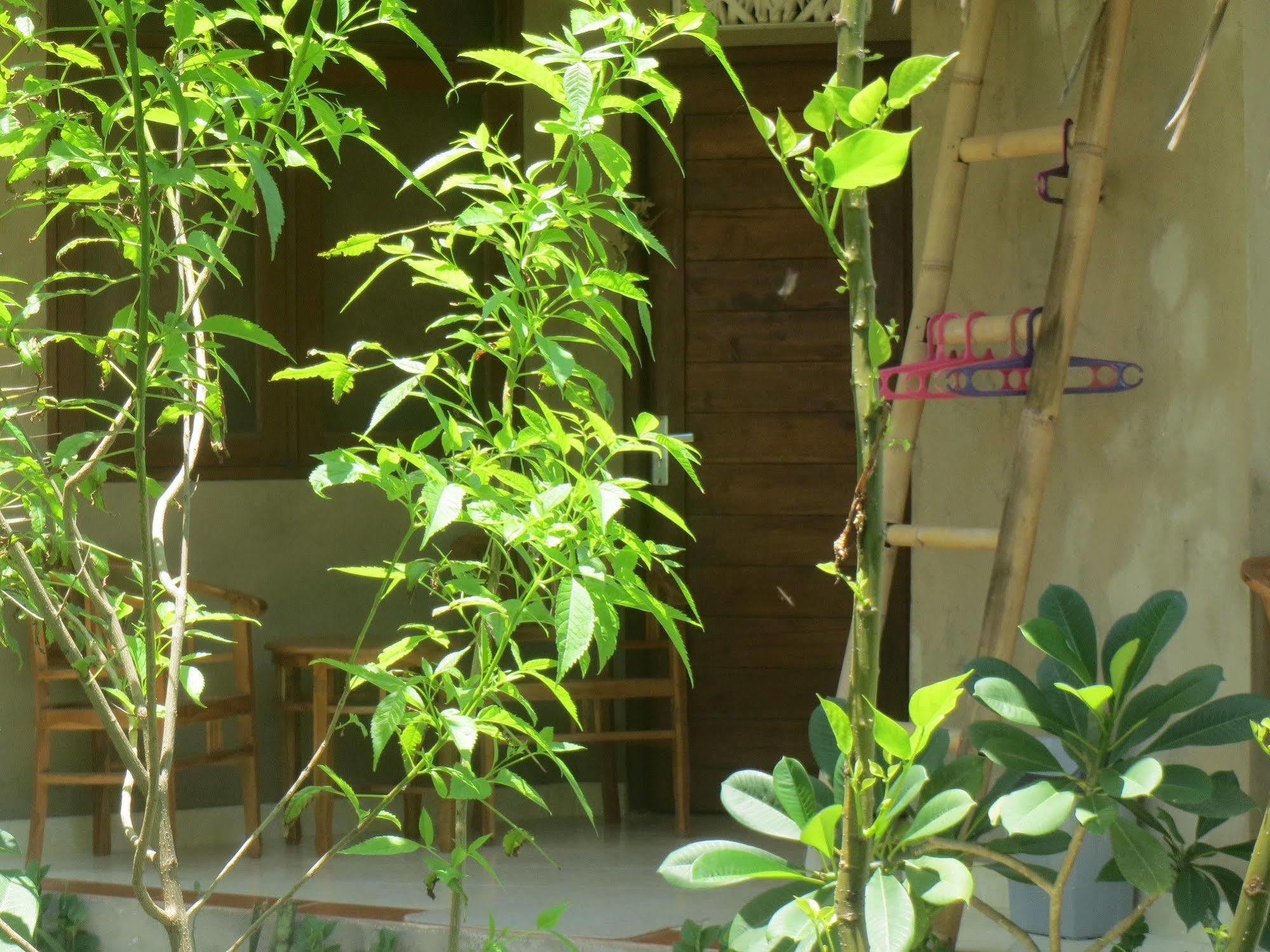 Amed Sari Beach Guesthouse Exterior photo