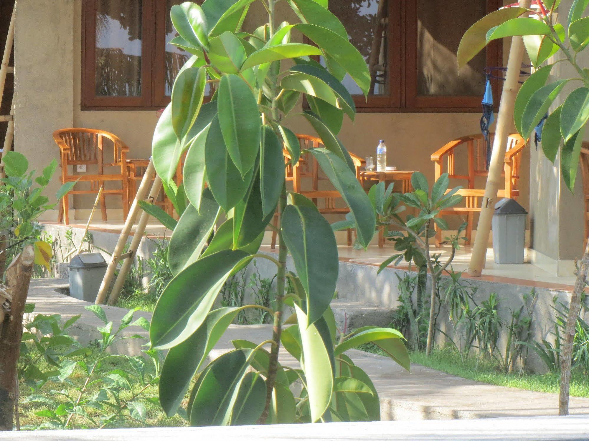 Amed Sari Beach Guesthouse Exterior photo
