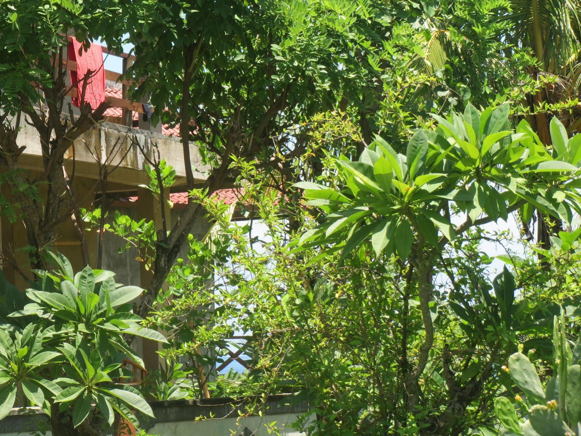 Amed Sari Beach Guesthouse Exterior photo