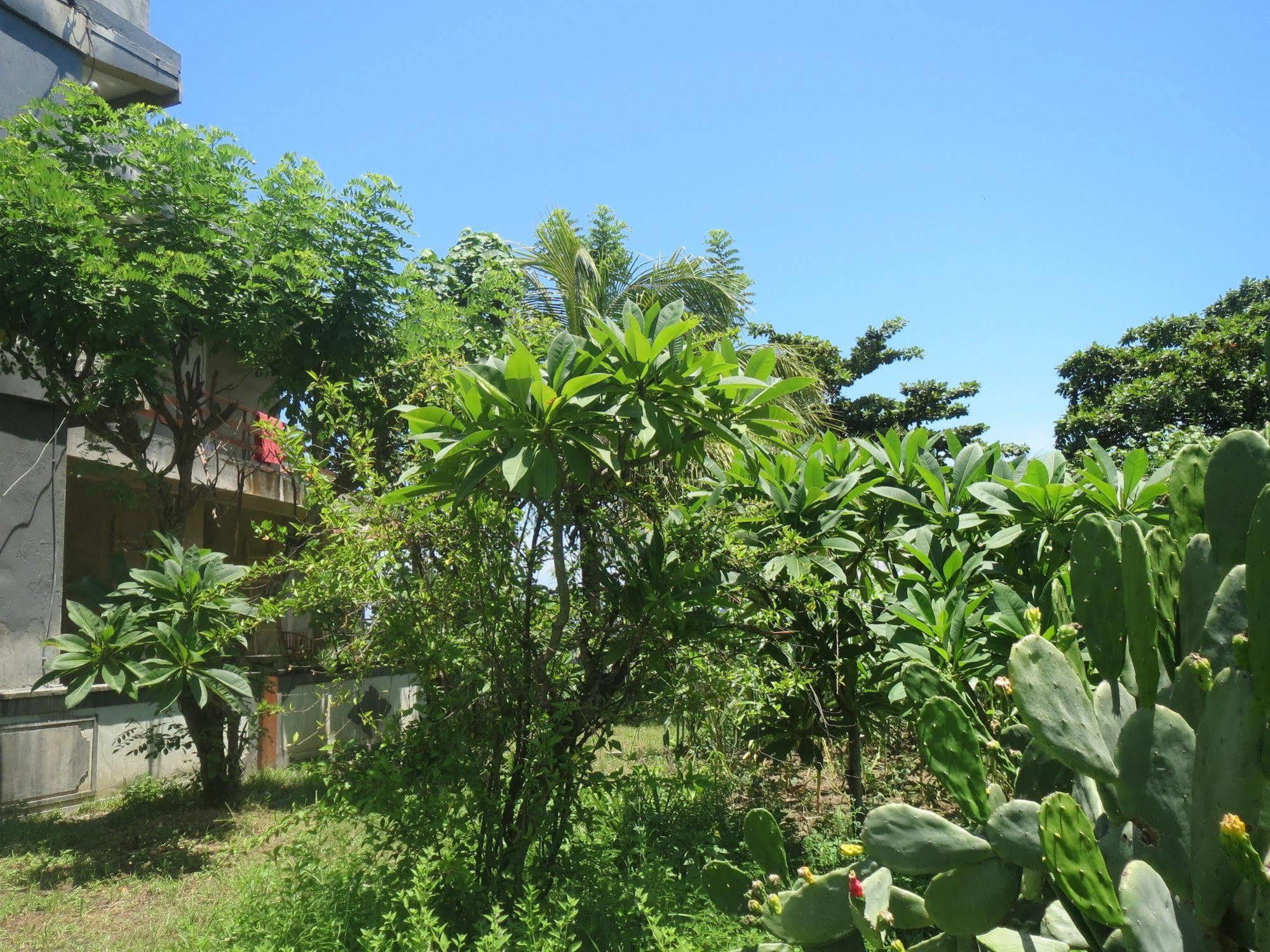 Amed Sari Beach Guesthouse Exterior photo